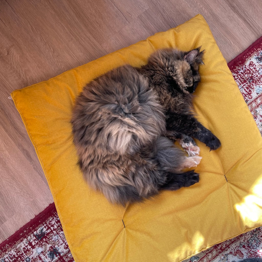Zabuton sopii hyvin myös kissoille ja koirille pediksi. Kuvassa Zabuton Fancy Keltainen kankaalla.